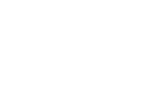 Scaff-Inspector